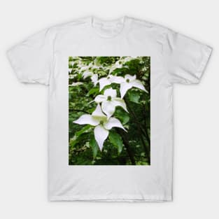 Pointed Dogwood Blossom T-Shirt